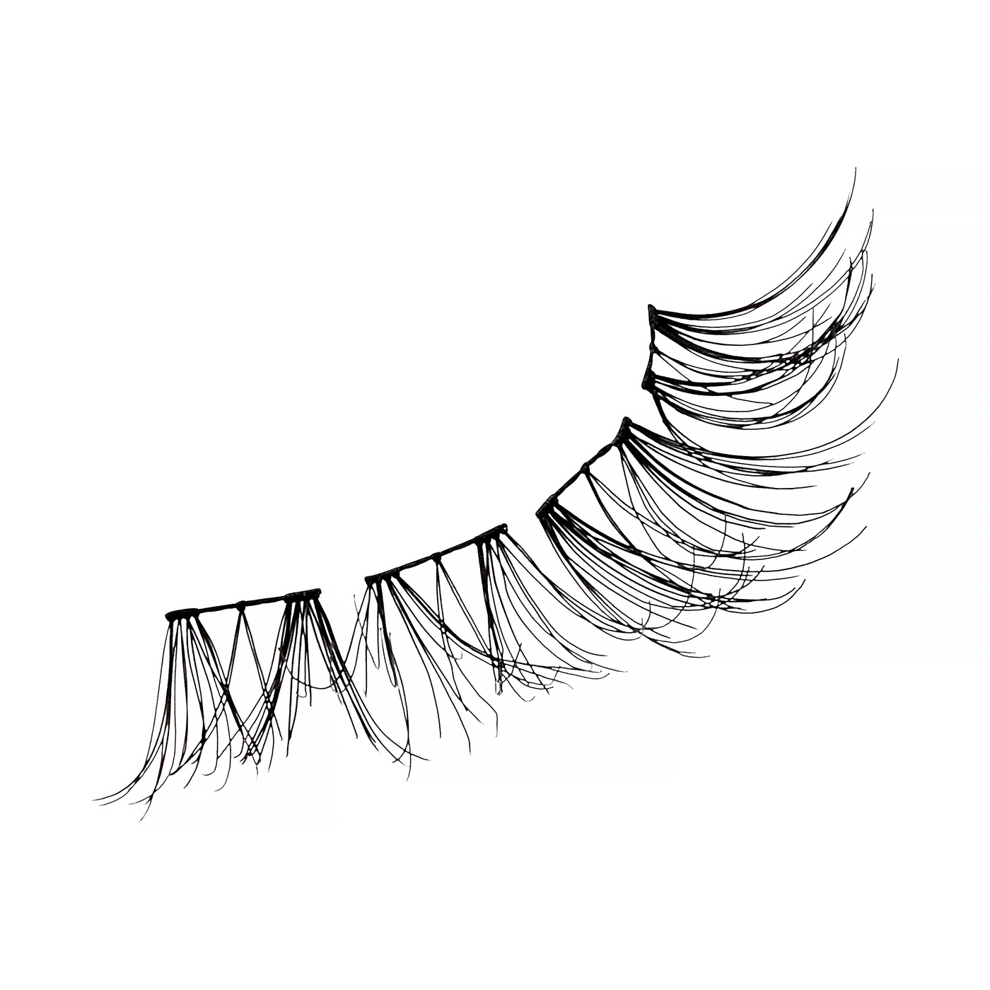 Illustration 1