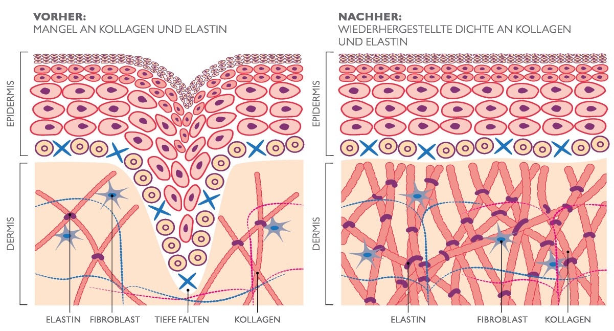 Abbildung 3