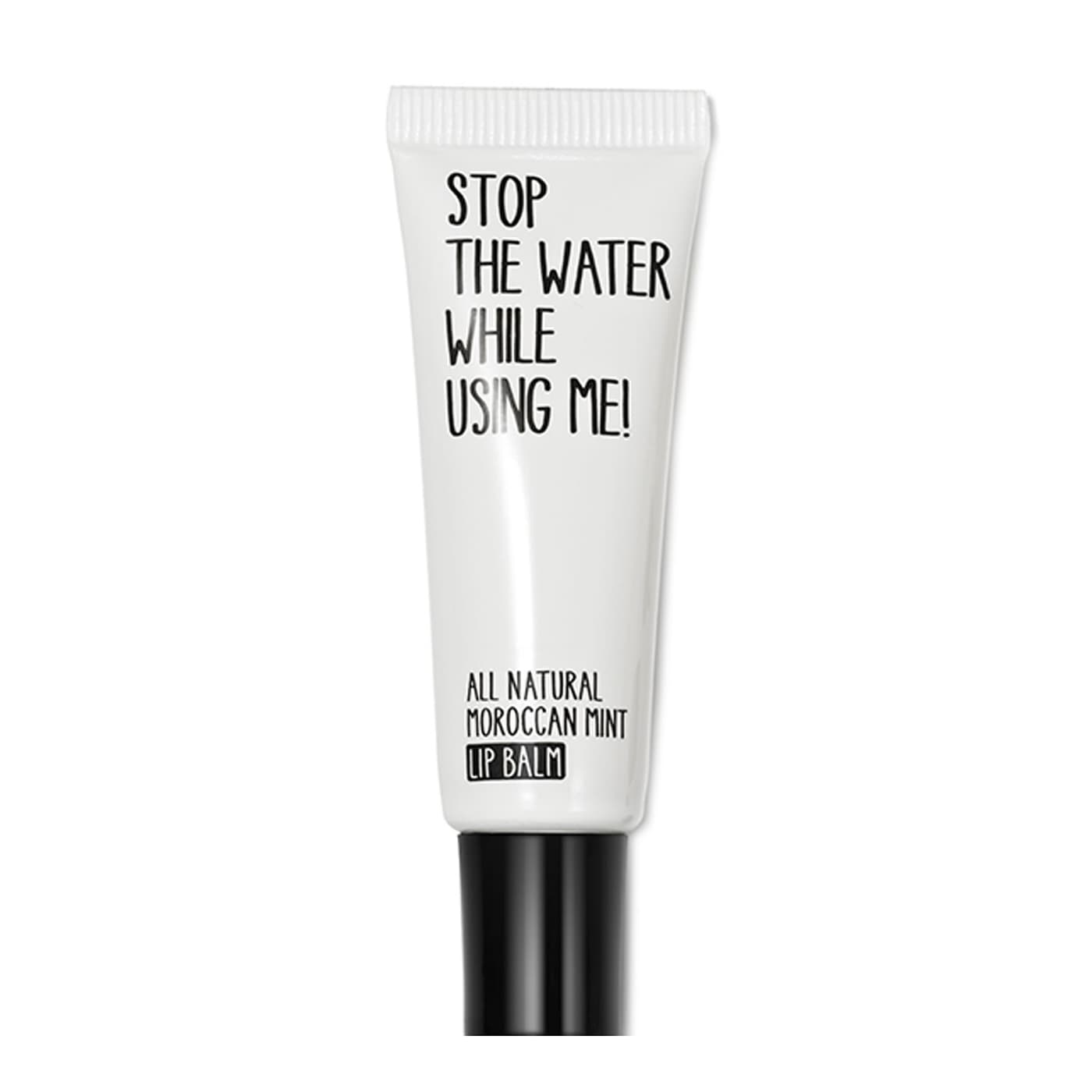 All Natural Smile - Morrocan Mint Lip Balm