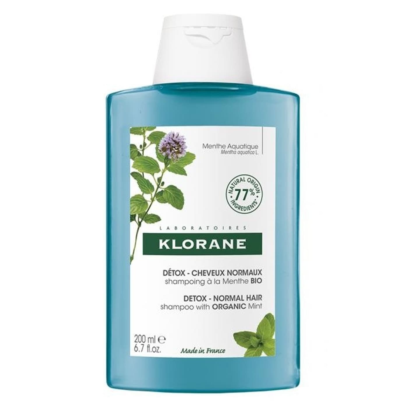 Wasserminze -Shampoo