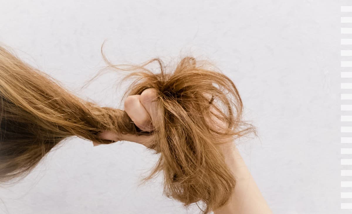 Schluss mit Spliss: Die besten Haarspitzenfluids